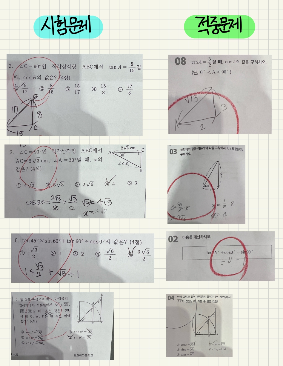 1785004143_qc8UFJ3z_f6d324a57dd871bdcc8a12a1376087d781962850.jpeg 이미지크게보기